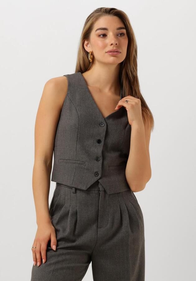 Notre-v Grijze Elegante Gilet voor Vrouwen Gray Dames - Foto 4