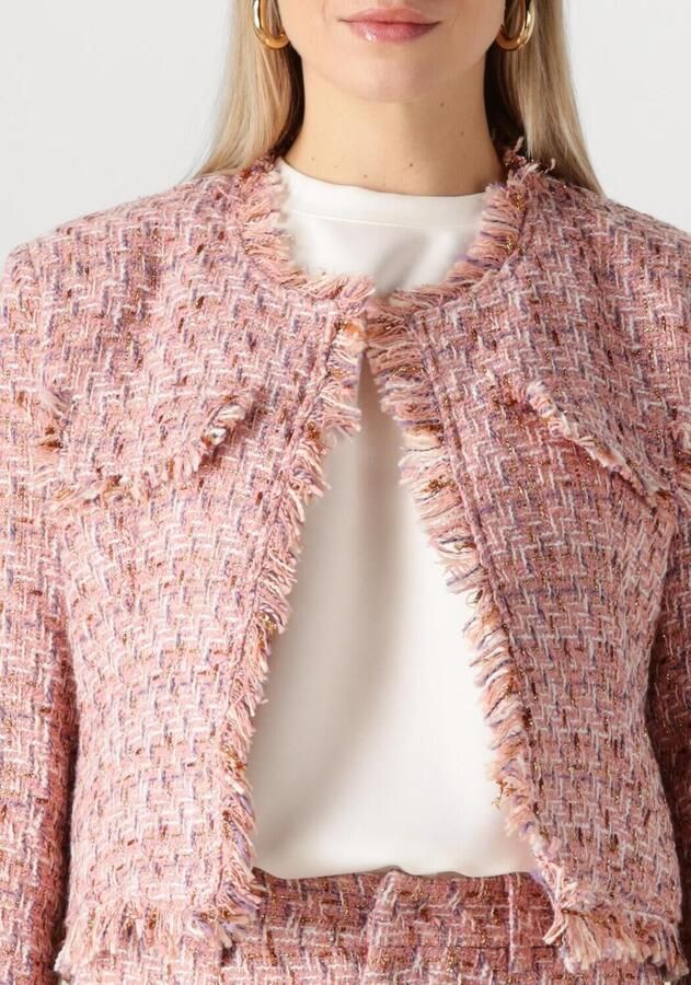 Notre-v Elegante Roze Blazer Fabiana Stijl Pink Dames - Foto 2