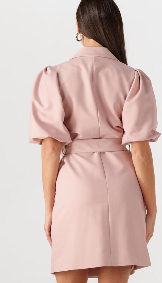 Notre-v Betoverende Roze Mini Jurk Pink Dames - Foto 3