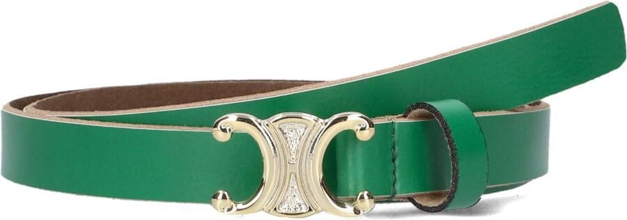 Notre-v Dames Riemen 4304 Green Dames - Foto 2