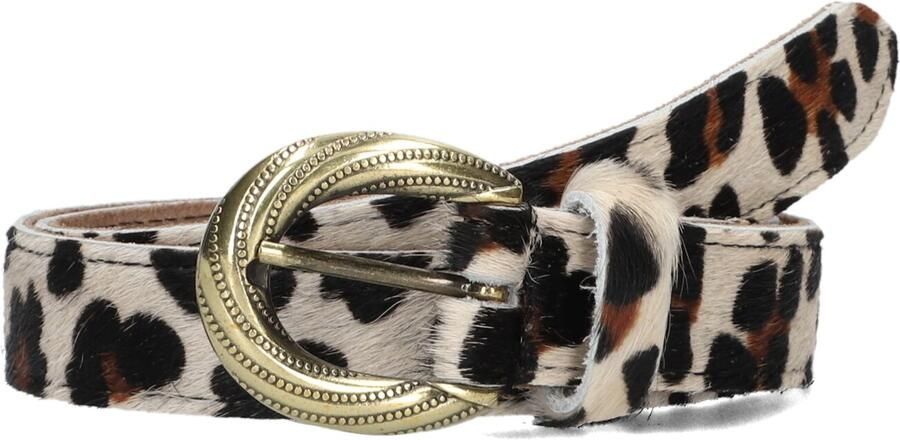 NOTRE-V Dames Riemen 4312 Bruin - Foto 2