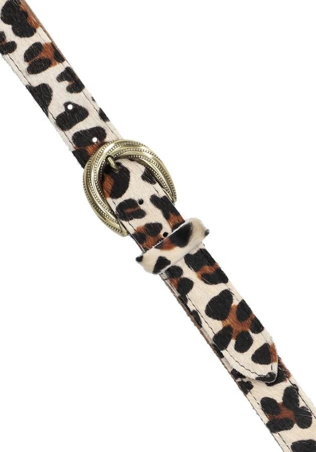 NOTRE-V Dames Riemen 4312 Bruin