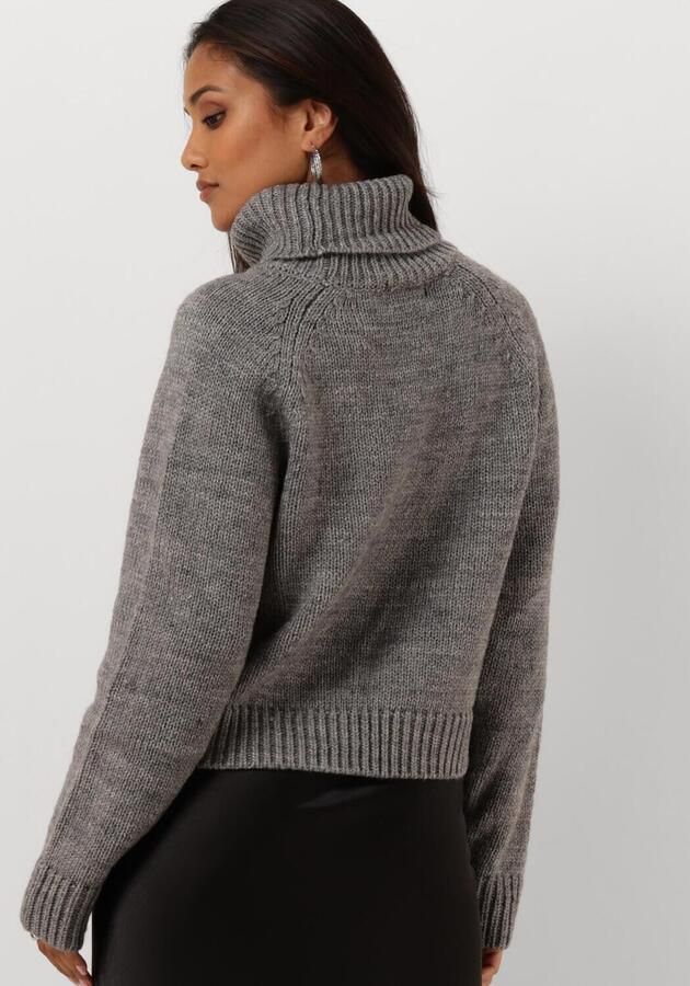 NOTRE-V Dames Truien & Vesten Nv-enide Grijs - Foto 3