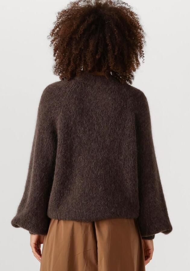 NOTRE-V Dames Truien & Vesten Nv-entia Bruin