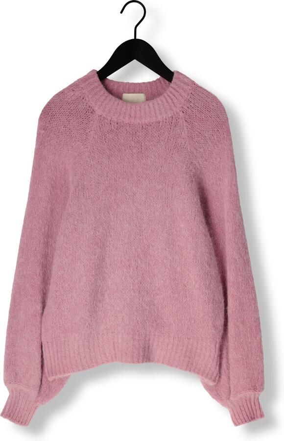 NOTRE-V Dames Truien & Vesten Nv-entia Roze - Foto 3