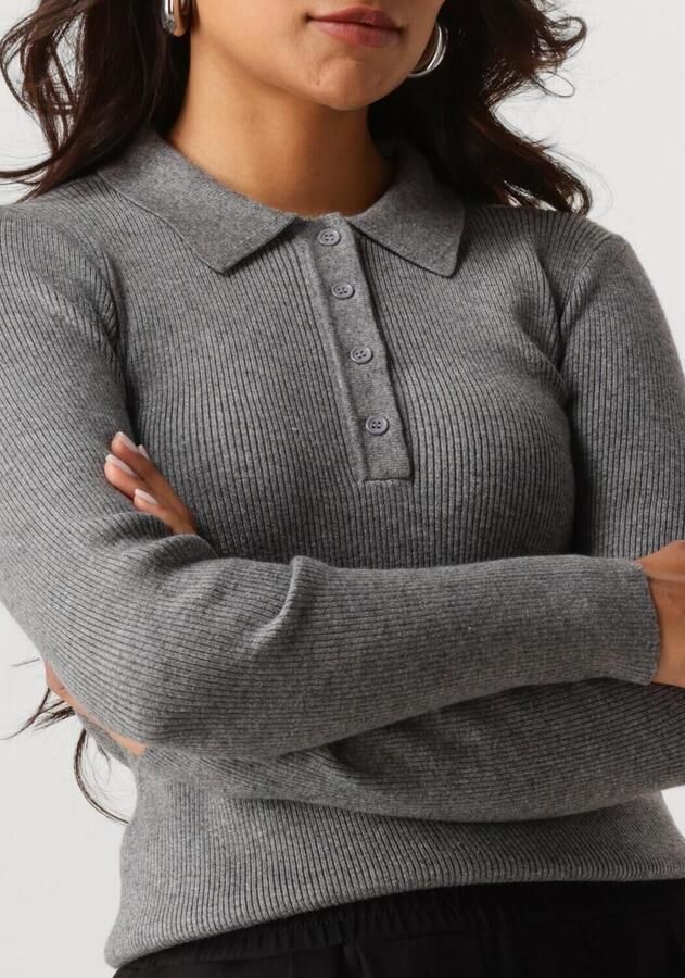 NOTRE-V Dames Truien & Vesten Nv-genny Grijs