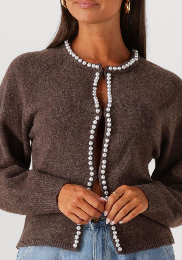 NOTRE-V Dames Truien & Vesten Nv-graciela Bruin