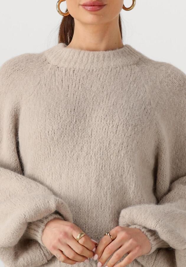 NOTRE-V Dames Truien & Vesten Nv-gussie Beige