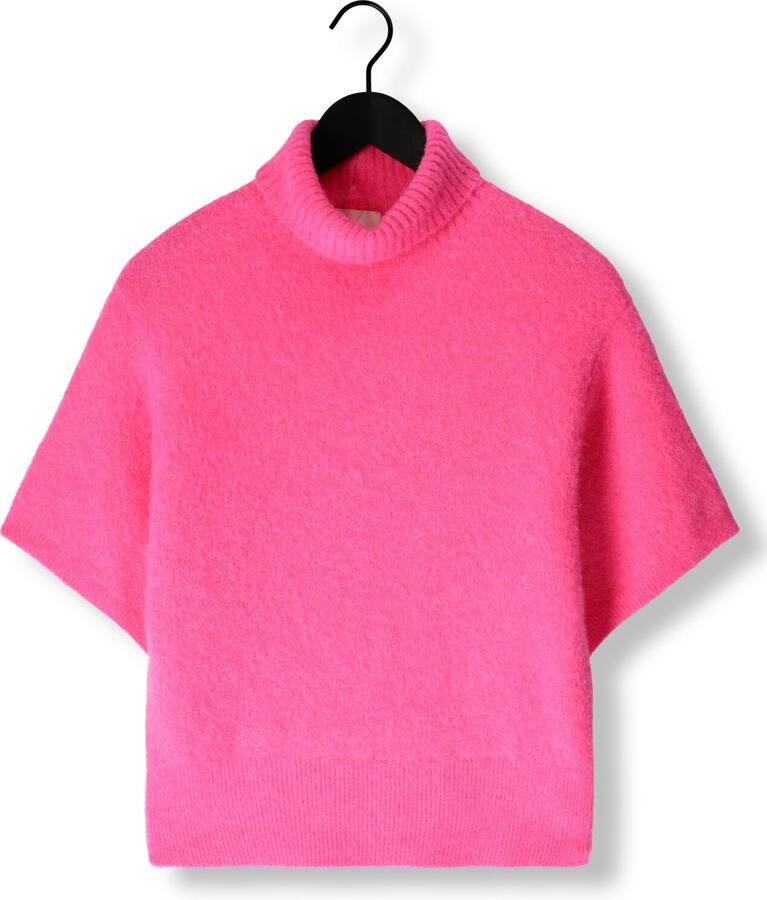 NOTRE-V Dames Truien & Vesten Nv-gussie Roze