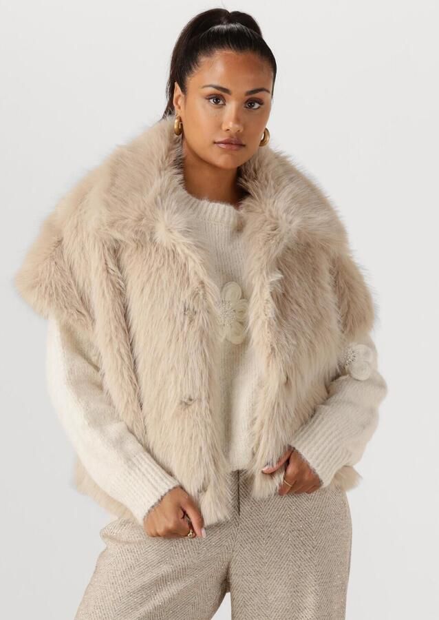 NUKUS Dames Blazers Loua Gilet Beige - Foto 4