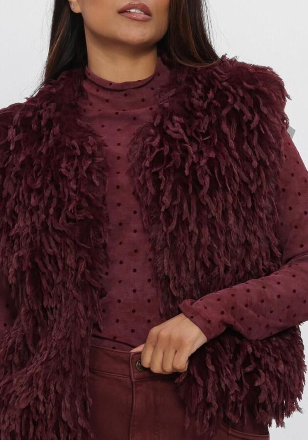 NUKUS Dames Blazers Mila Gilet Feather Bordeaux - Foto 3