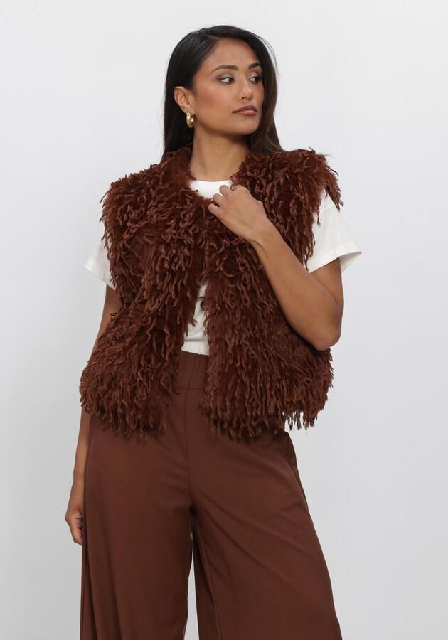 NUKUS Dames Blazers Mila Gilet Feather Bruin