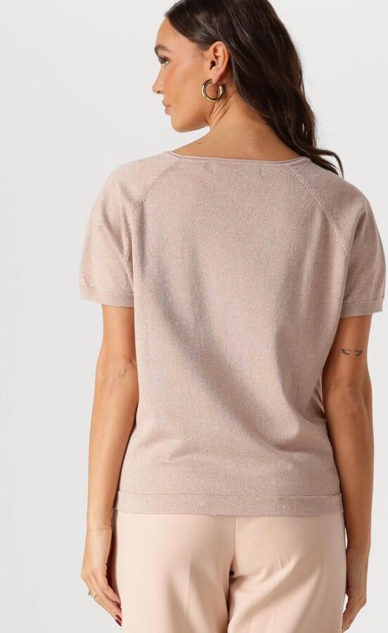 NUKUS Dames Tops & T-shirts Anita Top Lurex Roze - Foto 3