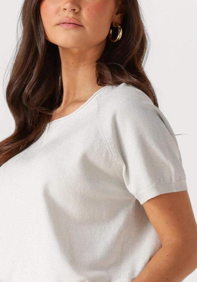 NUKUS Dames Tops & T-shirts Anita Top Lurex Zilver - Foto 2