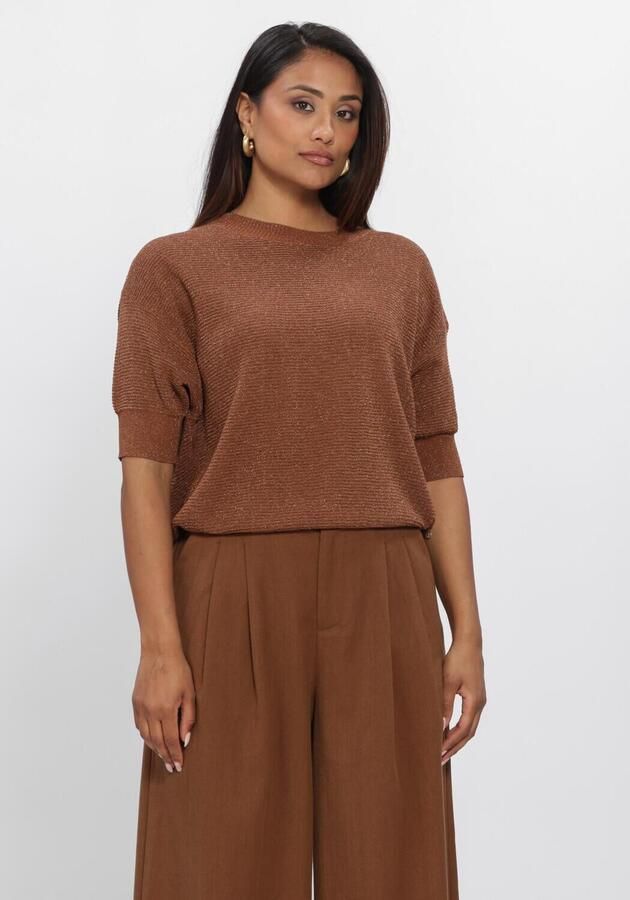 NUKUS Dames Tops & T-shirts Kinty Top Lurex Bruin