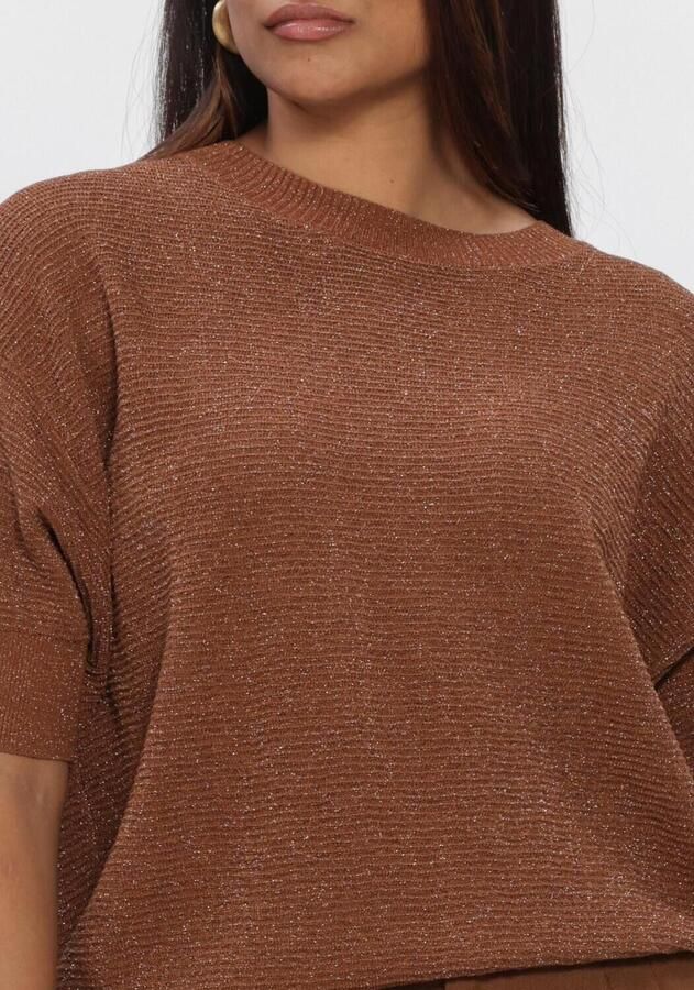 NUKUS Dames Tops & T-shirts Kinty Top Lurex Bruin - Foto 3