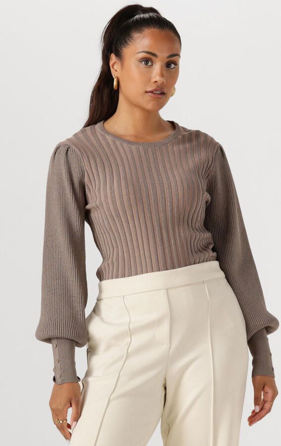 NUKUS Dames Tops & T-shirts Mulberry Pullover Lurex Taupe - Foto 4