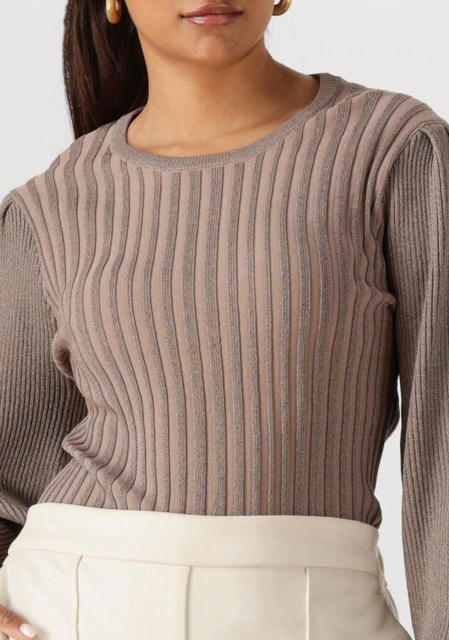 NUKUS Dames Tops & T-shirts Mulberry Pullover Lurex Taupe