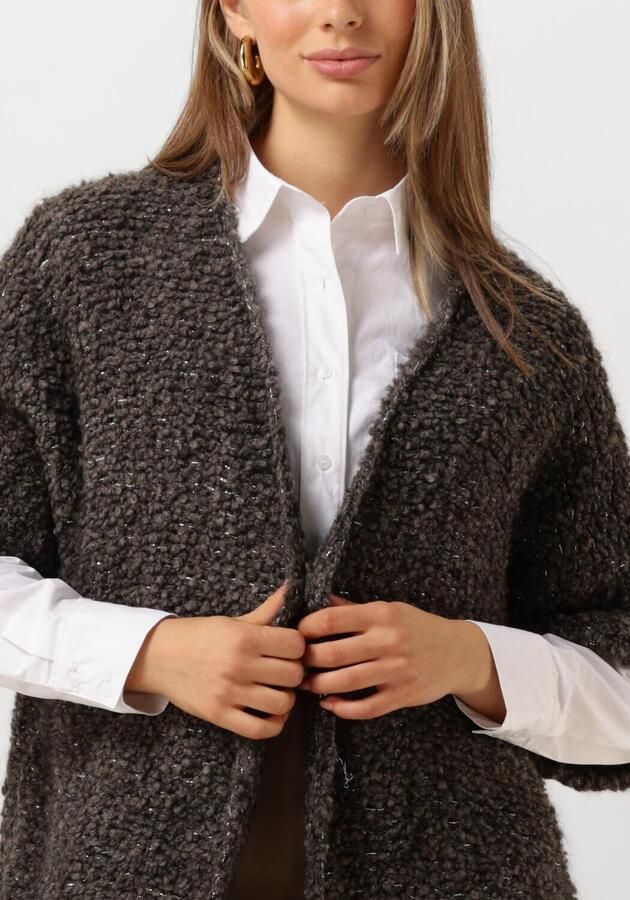 NUKUS Dames Truien & Vesten Bess Cardigan Bruin - Foto 2