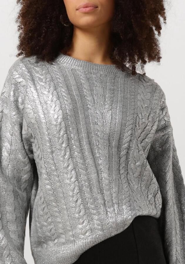 NUKUS Dames Truien & Vesten Carmel Pullover Zilver - Foto 3