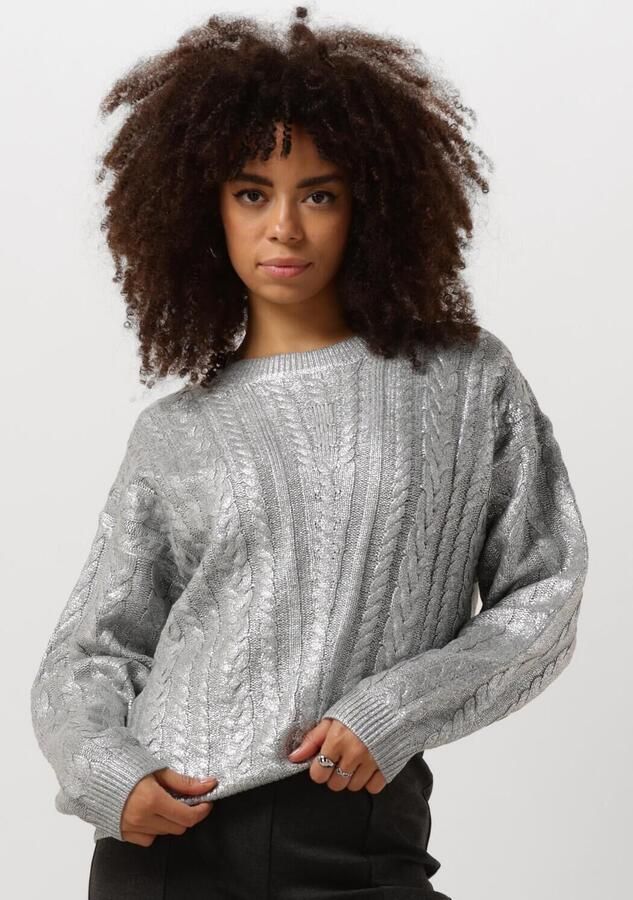 NUKUS Dames Truien & Vesten Carmel Pullover Zilver - Foto 4