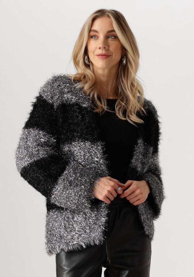 NUKUS Dames Truien & Vesten Haily Cardigan Lurex Zilver - Foto 4