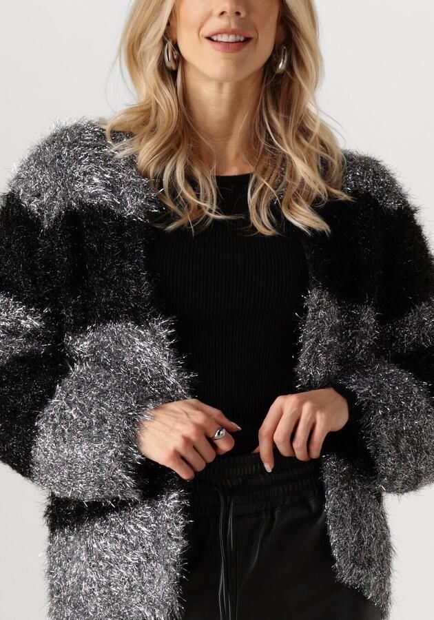 NUKUS Dames Truien & Vesten Haily Cardigan Lurex Zilver - Foto 3