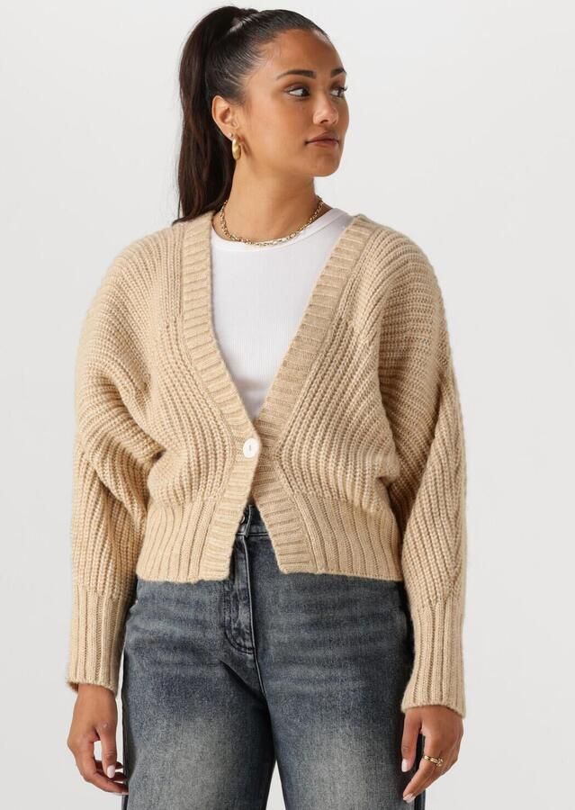 NUKUS Dames Truien & Vesten Jolijn Cardigan Beige - Foto 4