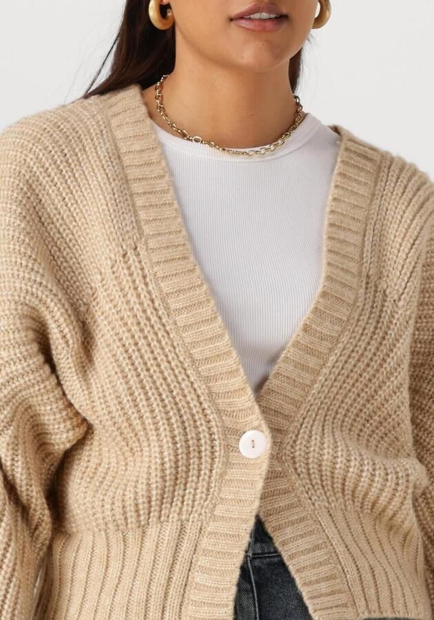 NUKUS Dames Truien & Vesten Jolijn Cardigan Beige - Foto 3