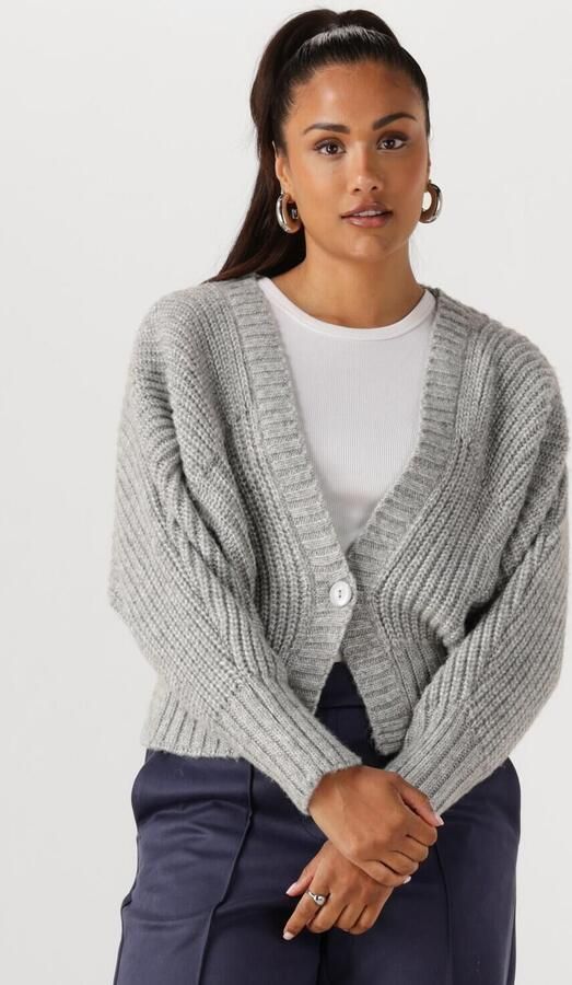 NUKUS Dames Truien & Vesten Jolijn Cardigan Grijs - Foto 4