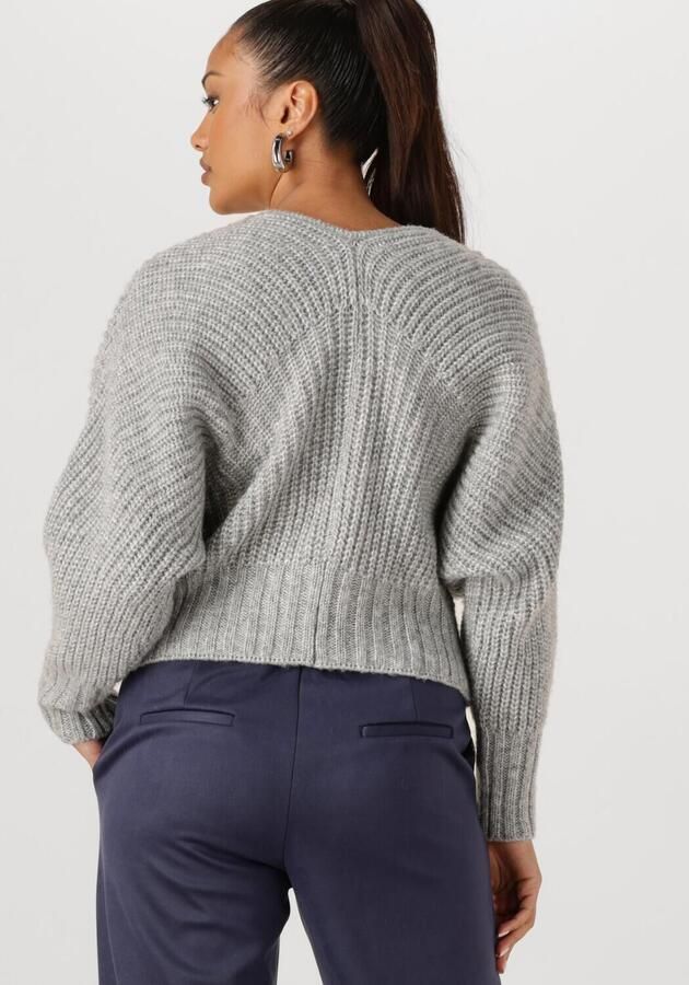 NUKUS Dames Truien & Vesten Jolijn Cardigan Grijs - Foto 2