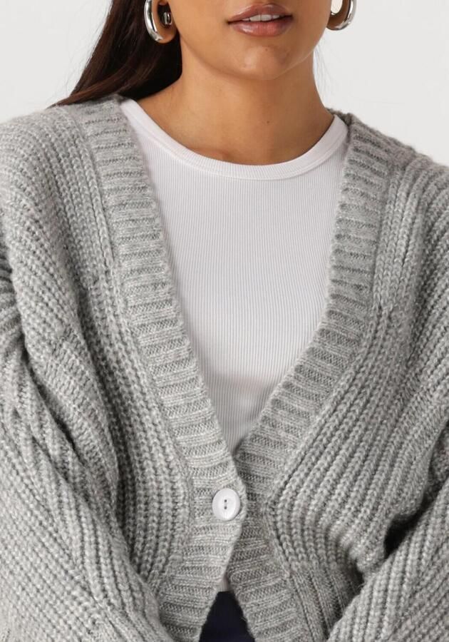 NUKUS Dames Truien & Vesten Jolijn Cardigan Grijs - Foto 3