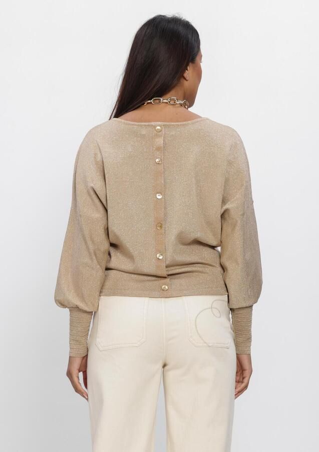 NUKUS Dames Truien & Vesten Jorien Pullover Lurex Goud
