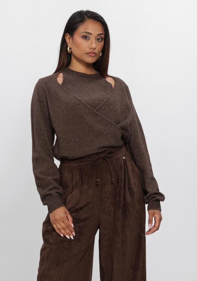 NUKUS Dames Truien & Vesten Merel Pullover Lurex Bruin