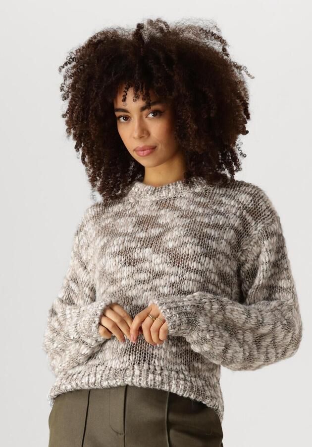 Nukus Taupe Pullover Trui voor Dames Multicolor Dames - Foto 4
