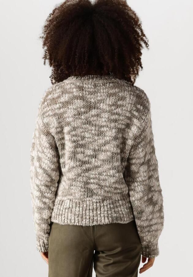 Nukus Taupe Pullover Trui voor Dames Multicolor Dames - Foto 2