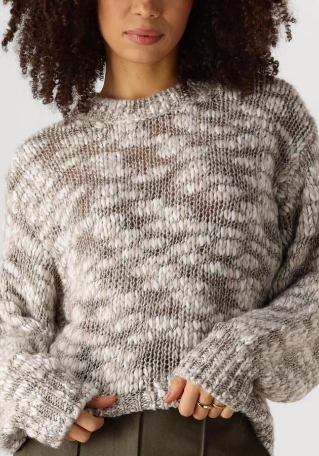 Nukus Taupe Pullover Trui voor Dames Multicolor Dames - Foto 3