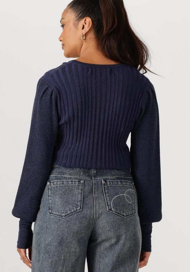 NUKUS Dames Truien & Vesten Mulberry Pullover Lurex Donkerblauw