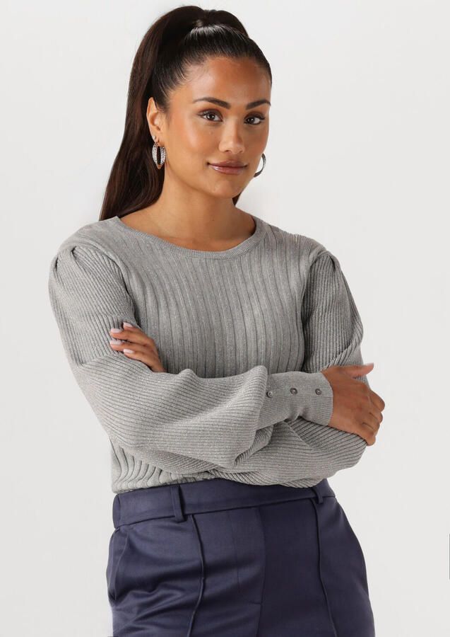 NUKUS Dames Truien & Vesten Mulberry Pullover Lurex Grijs - Foto 4