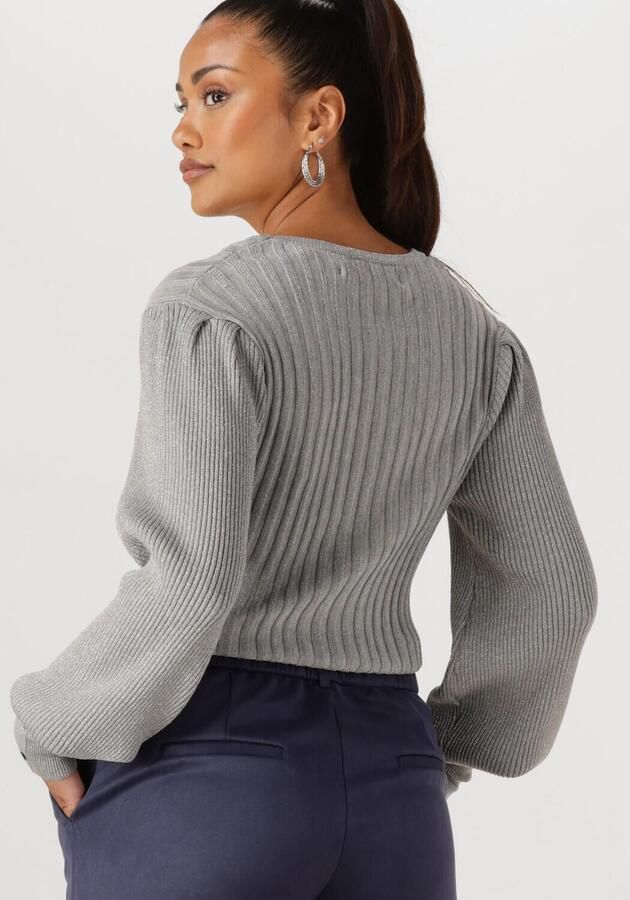 NUKUS Dames Truien & Vesten Mulberry Pullover Lurex Grijs