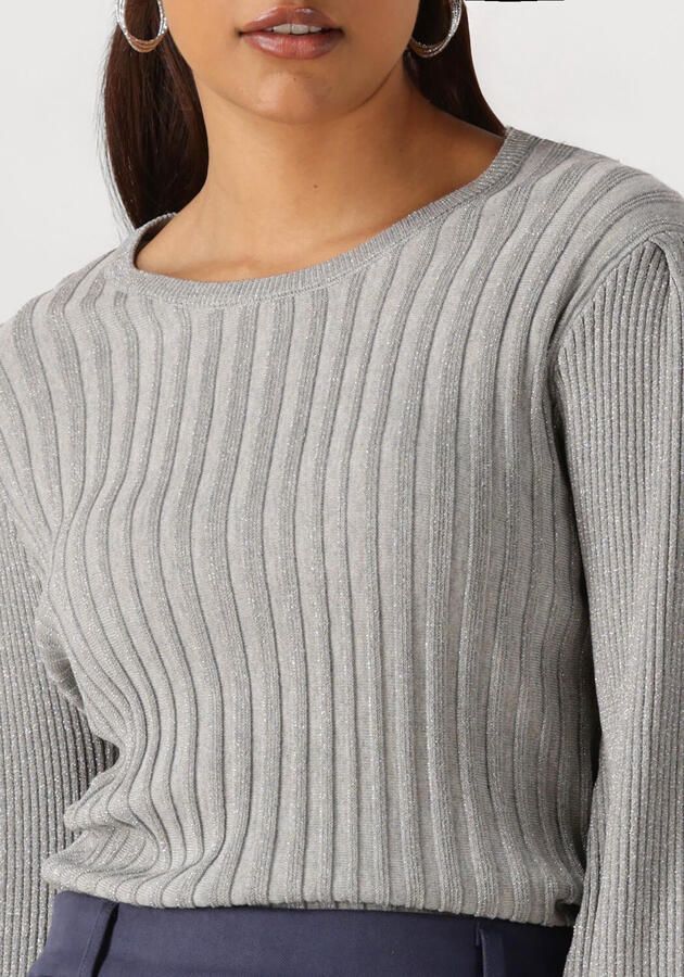 NUKUS Dames Truien & Vesten Mulberry Pullover Lurex Grijs - Foto 2