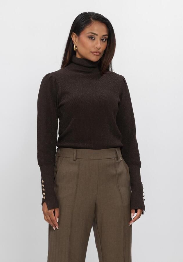 NUKUS Dames Truien & Vesten Sylvia Pullover Lurex Bruin