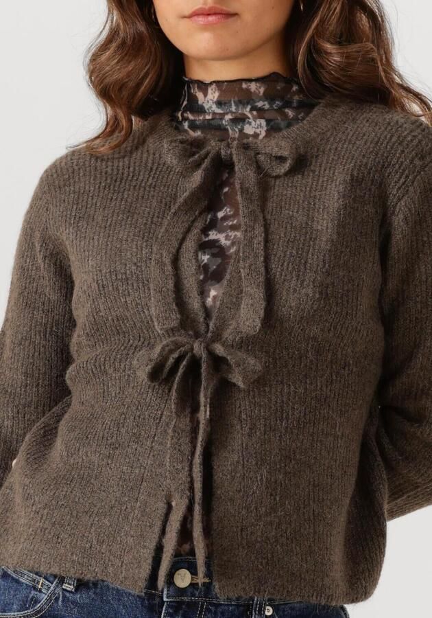 OBJECT Dames Truien & Vesten Objparvi Knit Cardigan Bruin