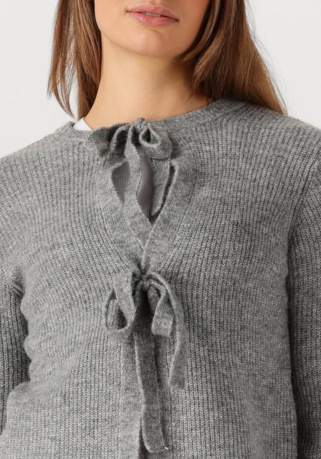 OBJECT Dames Truien & Vesten Objparvi Knit Cardigan Grijs