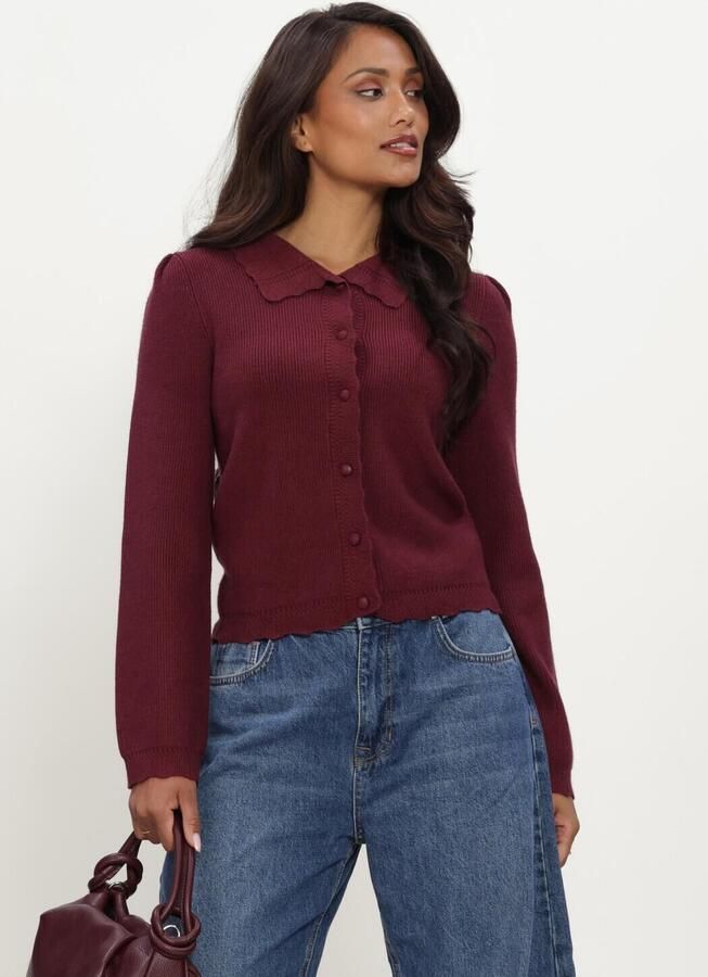 OBJECT Dames Truien & Vesten Objparya Thess L s Re Knit Cardigan Bordeaux