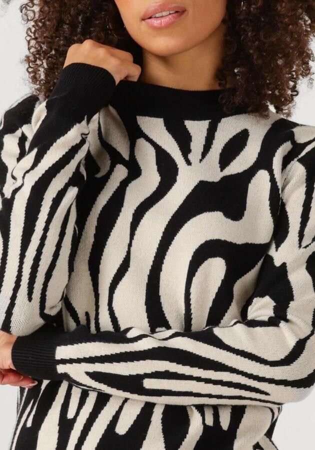 OBJECT Dames Truien & Vesten Objray L s Knit Pullover Aop Multi