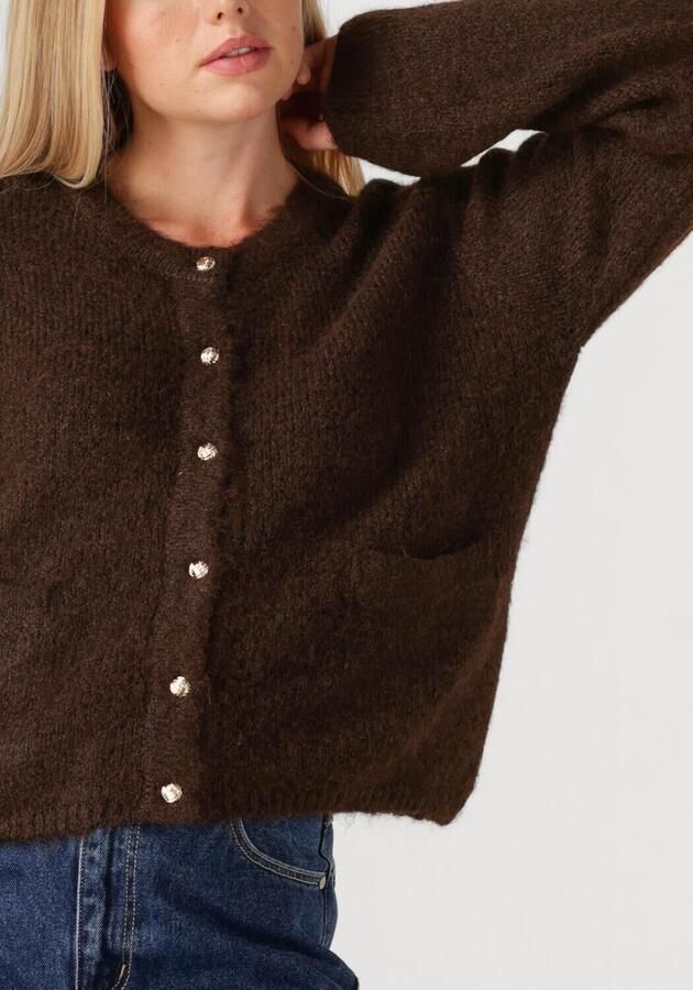 OBJECT Dames Truien & Vesten Objsaggia Re L s Knit Cardigan Bruin - Foto 2