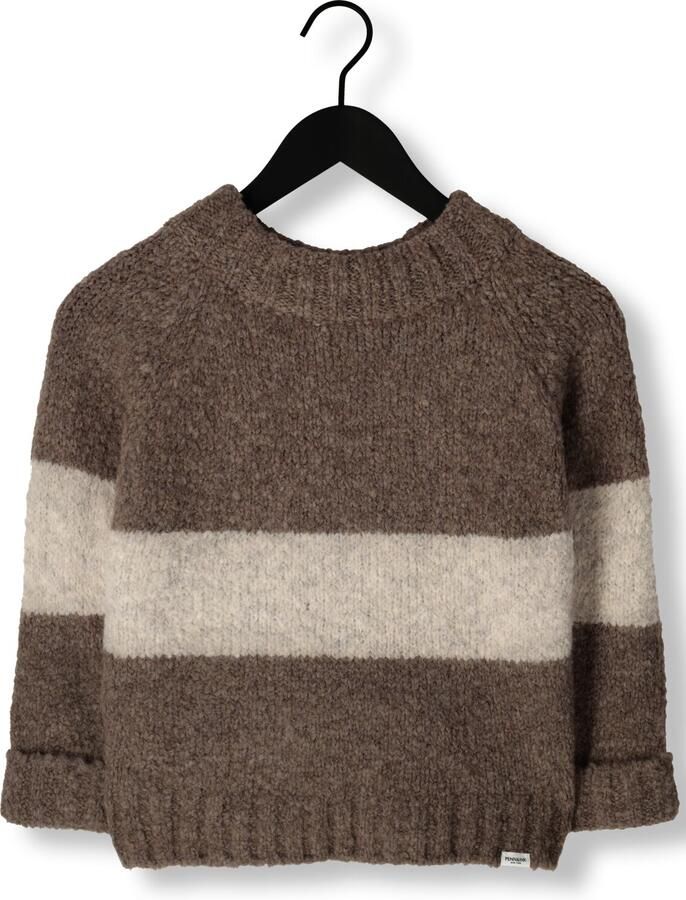 PENN & INK Dames Truien & Vesten 225 Jumper Stripe Bruin