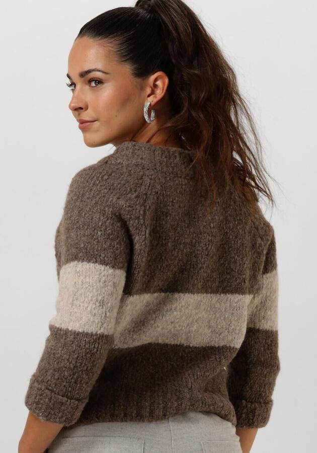 PENN & INK Dames Truien & Vesten 225 Jumper Stripe Bruin - Foto 2
