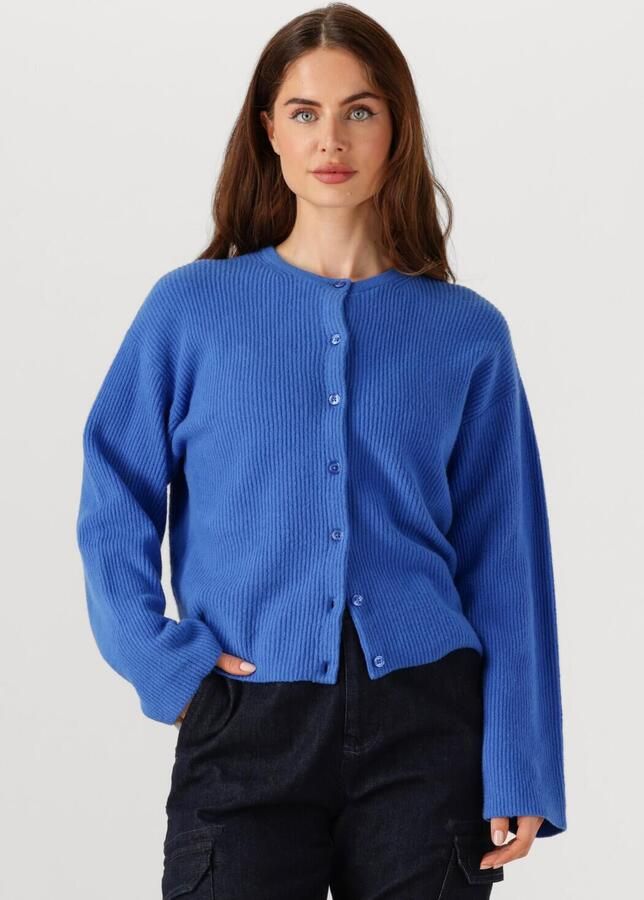 PENN & INK Dames Truien & Vesten Cardigan W25b345 Blauw - Foto 4